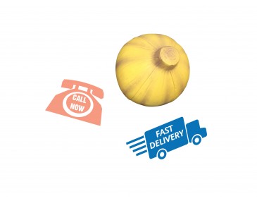 Branded Onions