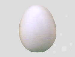 Promotional Stress Ball Egg