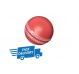 Cricket Stress Ball